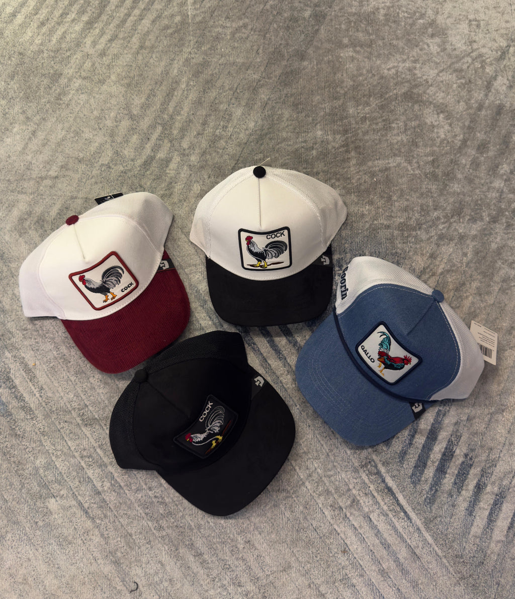 COMBO GALLOS GOORIN — EDICIÓN SUPREMA X4
