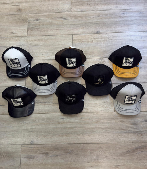 COMBO GOORIN EQUINO MASTER X8