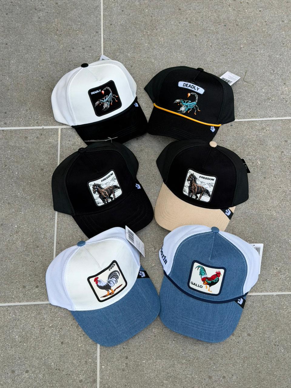 Combo Goorin Bross x 6