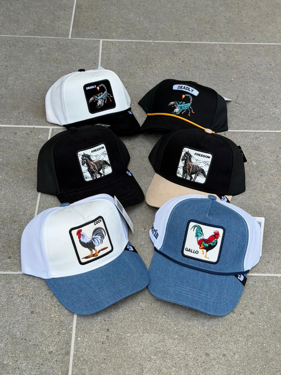 Combo Goorin Bross x 6