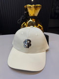 Hugo Boss Prestige Beige