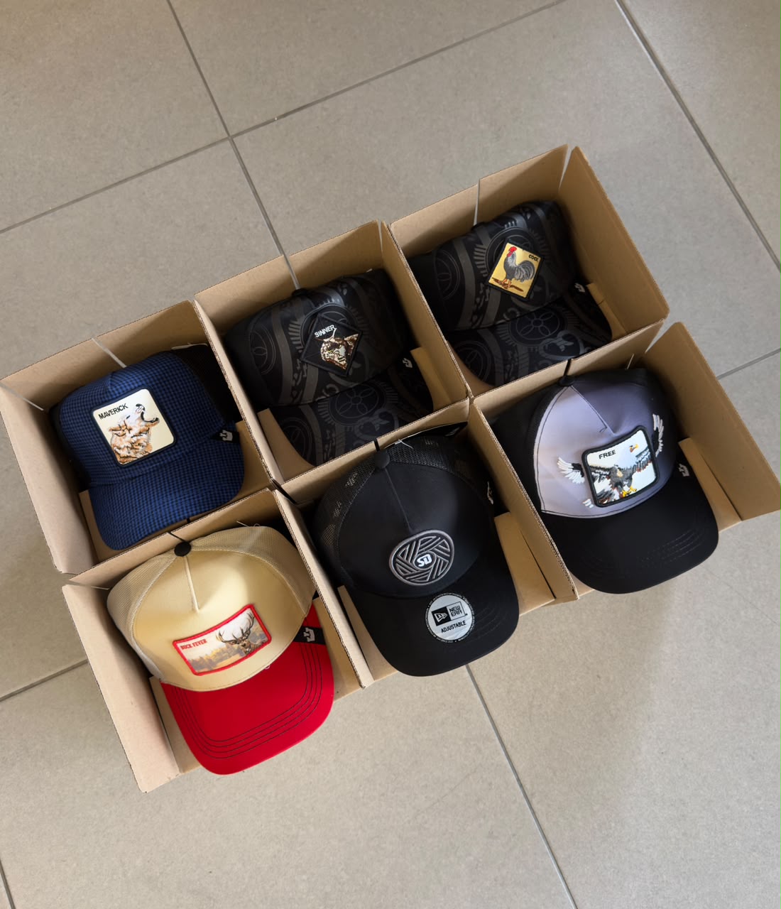 COMBO X6 GOORIN BROS MÁGICO TRUCK