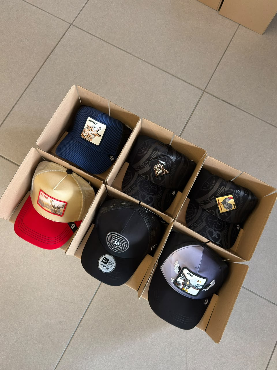 COMBO X6 GOORIN BROS MÁGICO TRUCK